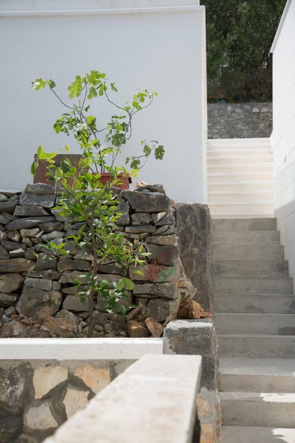 Casa Blanca White House Villa Donji Okrug  Exterior foto